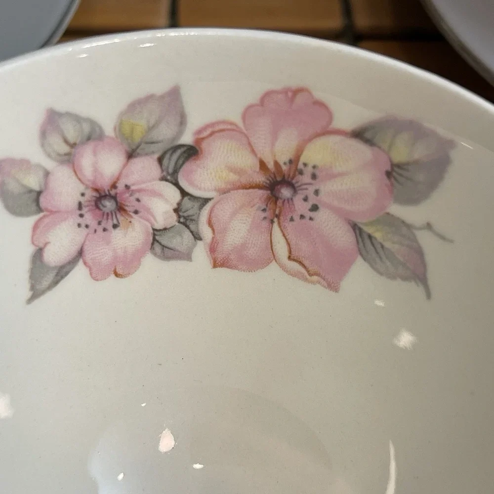 Vintage 1953 Homer Laughlin Cavalier Eggshell Cup & Saucer Set CV17 Gray Floral